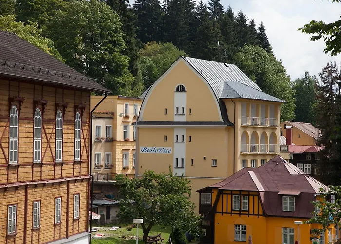Penzion Bellevue *